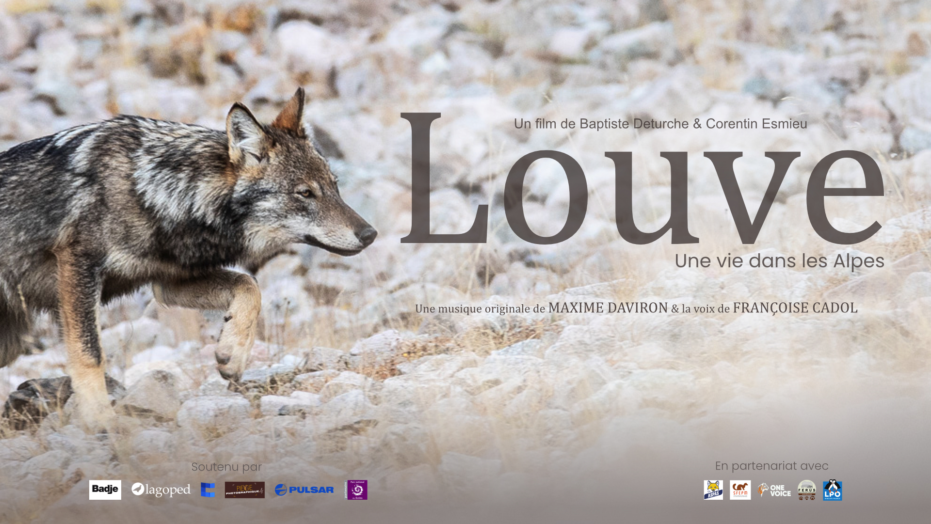 Louve, une vie dans les Alpes