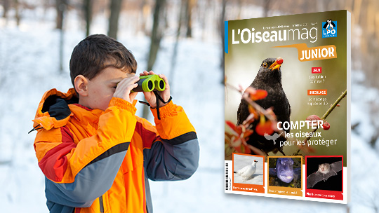 Garçon avec ses jumelles © Xalanx/Adobe Stock / © Merle noir couverture Peter Rudolf/Adobe Stock