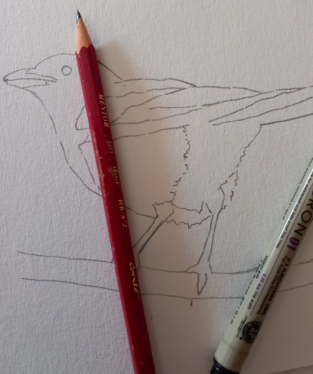 Aquarelle_Renardeaux©KristinPollen