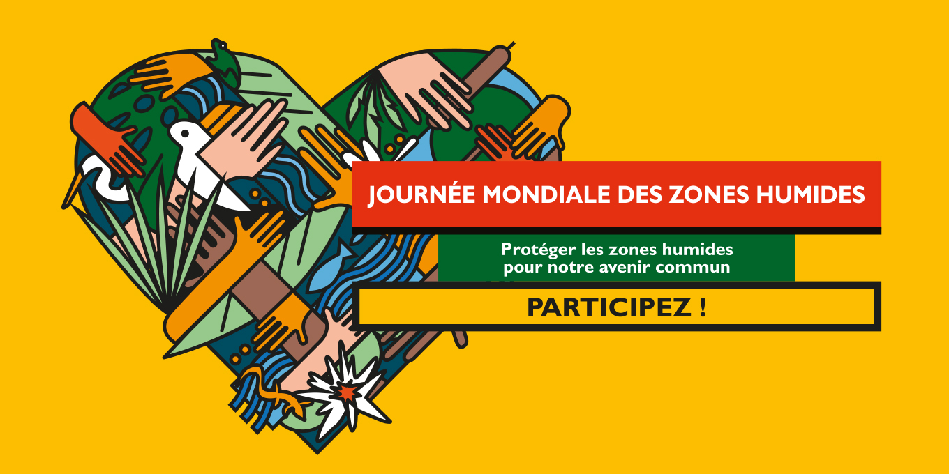 Cap sur les zones humides à l’occasion de la JMZH 2025