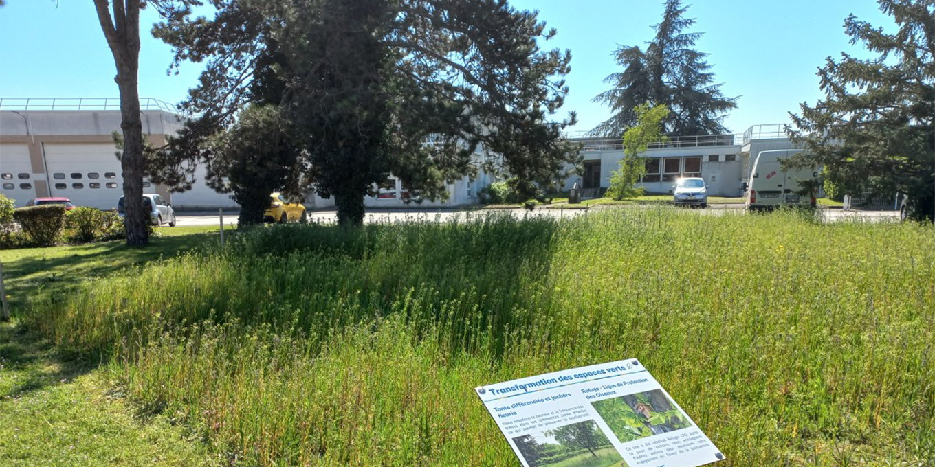 Economie et biodiversité : la LPO appelle les entreprises à passer à l’action