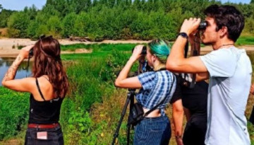 Enquêtes et suivis ornithologiques 2024 en Indre-et-Loire