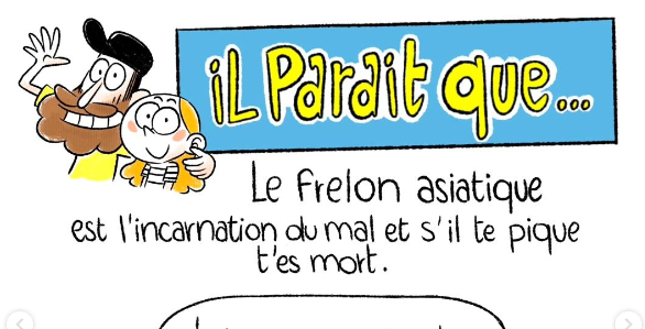 IL PARAIT que… le Frelon asiatique
