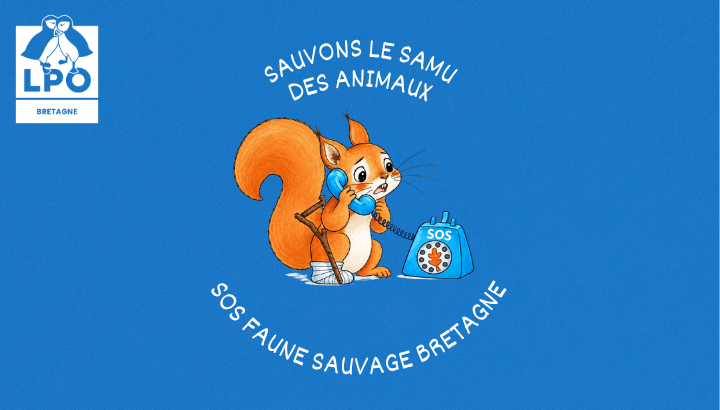 Aidez-nous à Sauver SOS Faune Sauvage