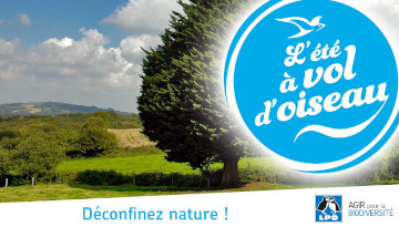 Envie de vous ressourcer et de vous aérer cet été ?