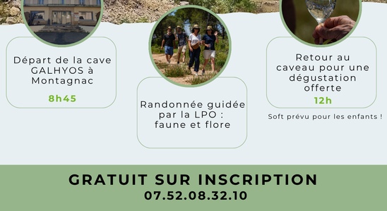 Balade guidée avec la cave Galhyos