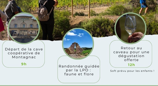 Balade guidée avec les Vignerons Montagnac-Domitienne