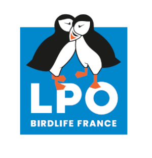 Consultations publiques