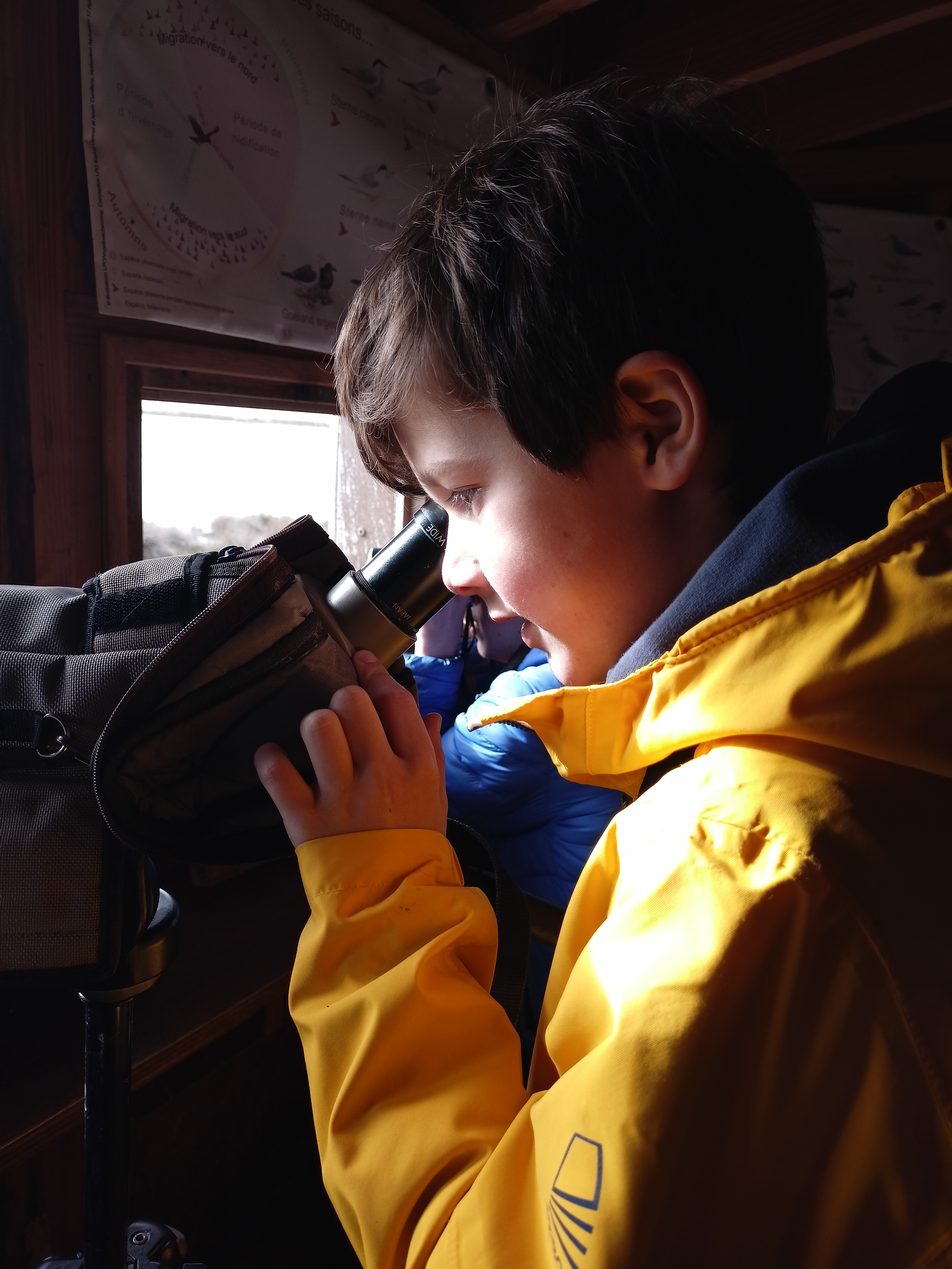 Safari Junior : Apprenti.es ornithologues