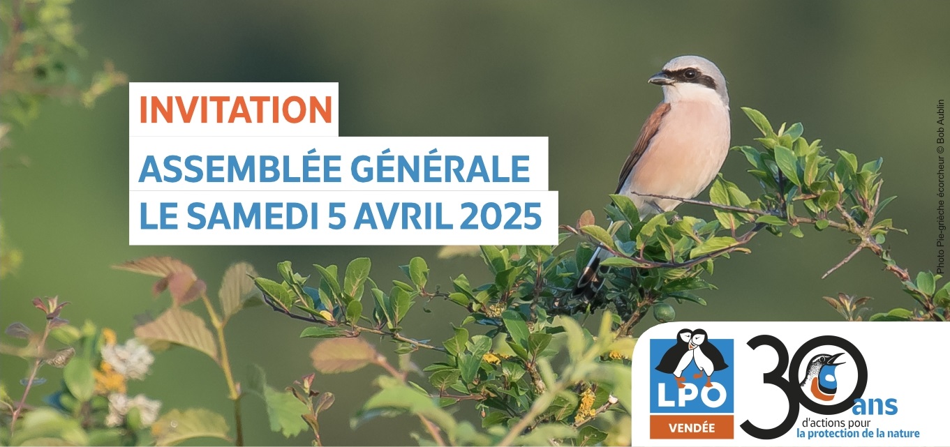 Assemblée générale de la LPO Vendée - spéciale 30 ans
