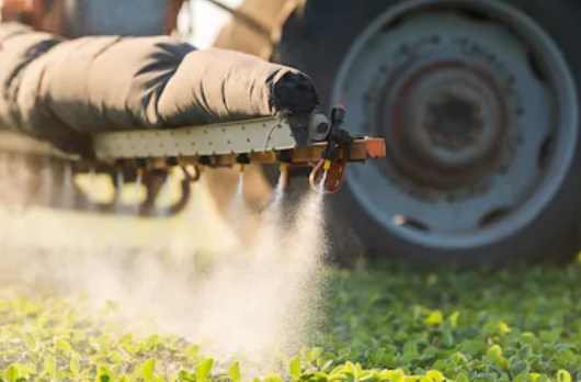 Les ONG dénoncent la suspension du plan de réduction des pesticides