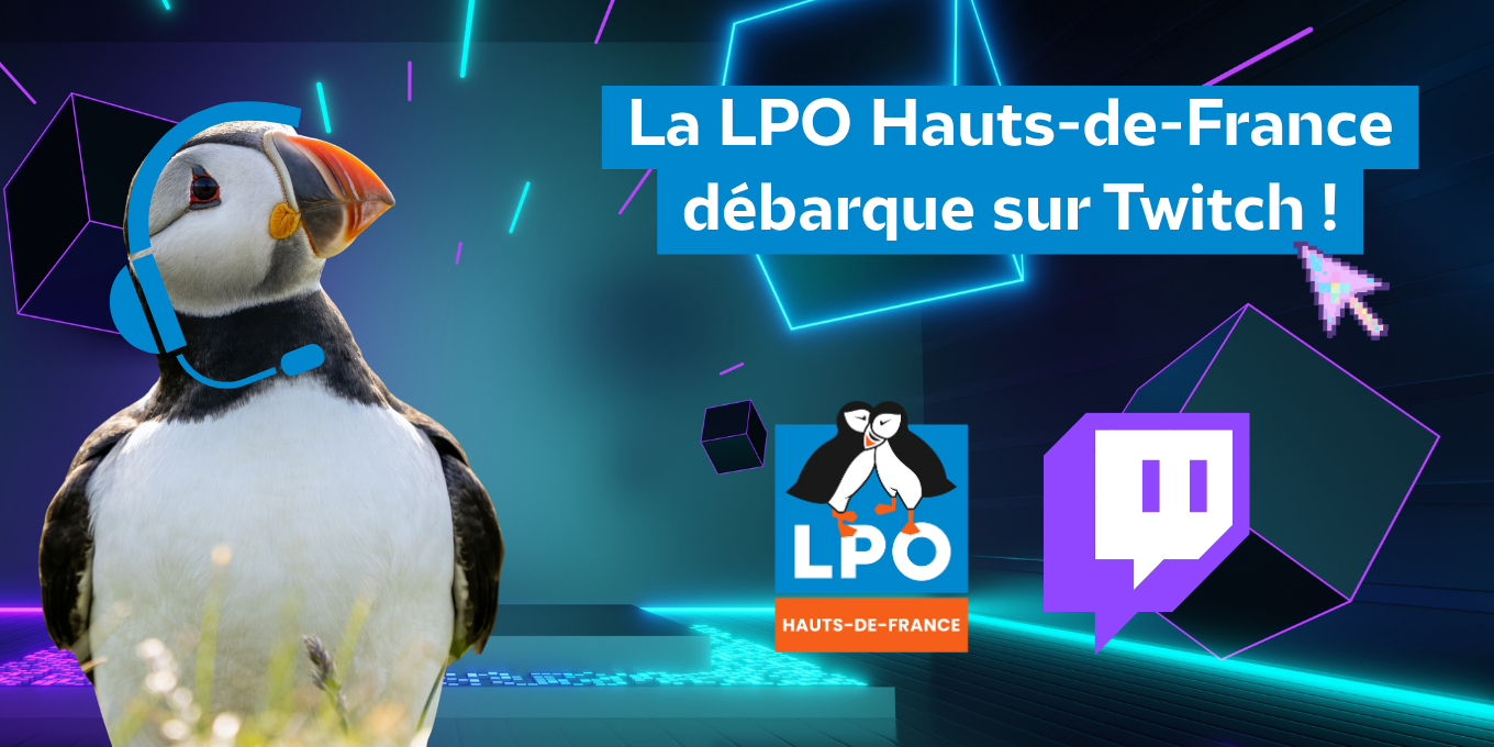 La LPO Hauts-de-France débarque sur Twitch !