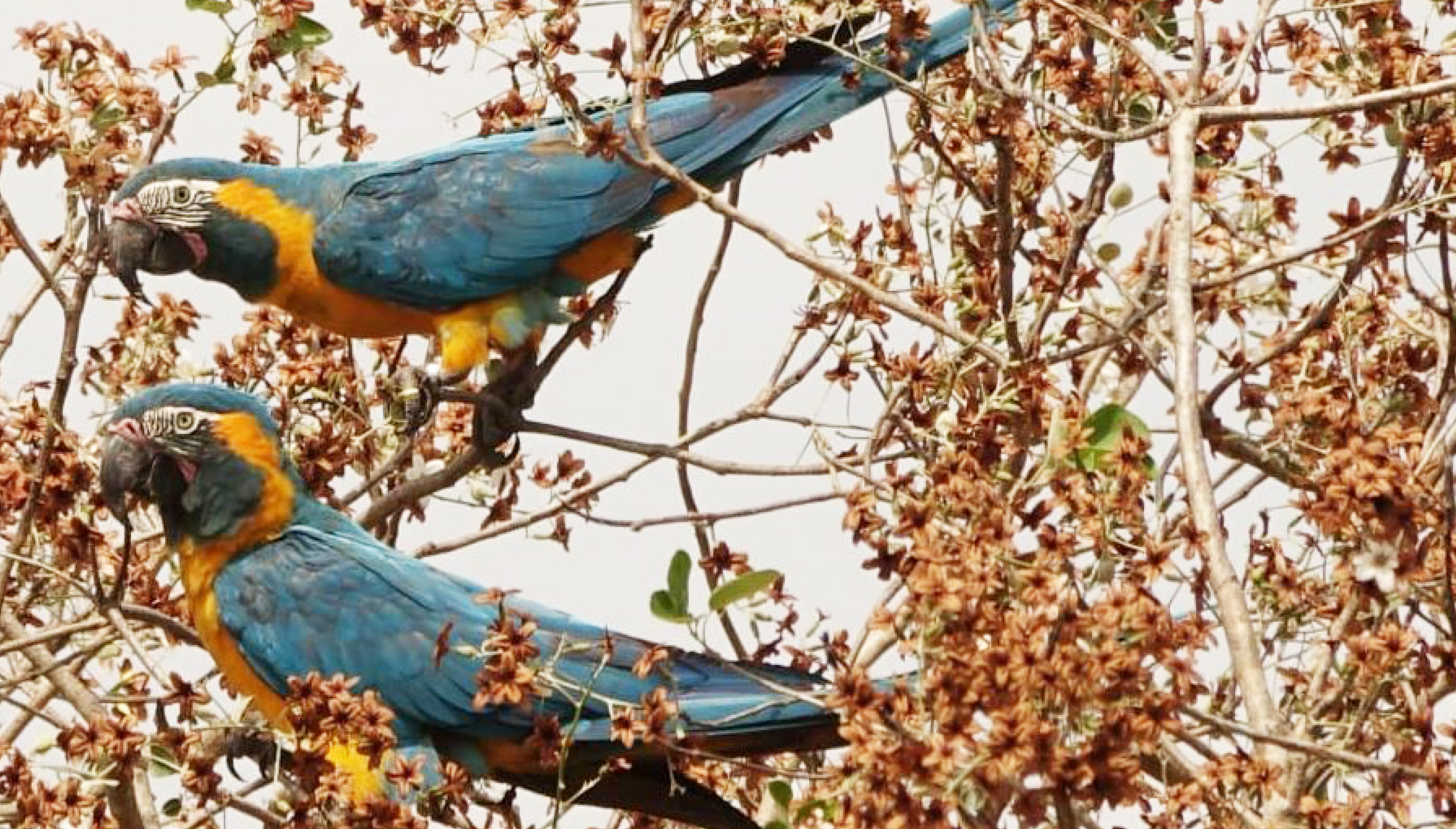 Des nouvelles du projet VIREON : Cap sur la Bolivie !