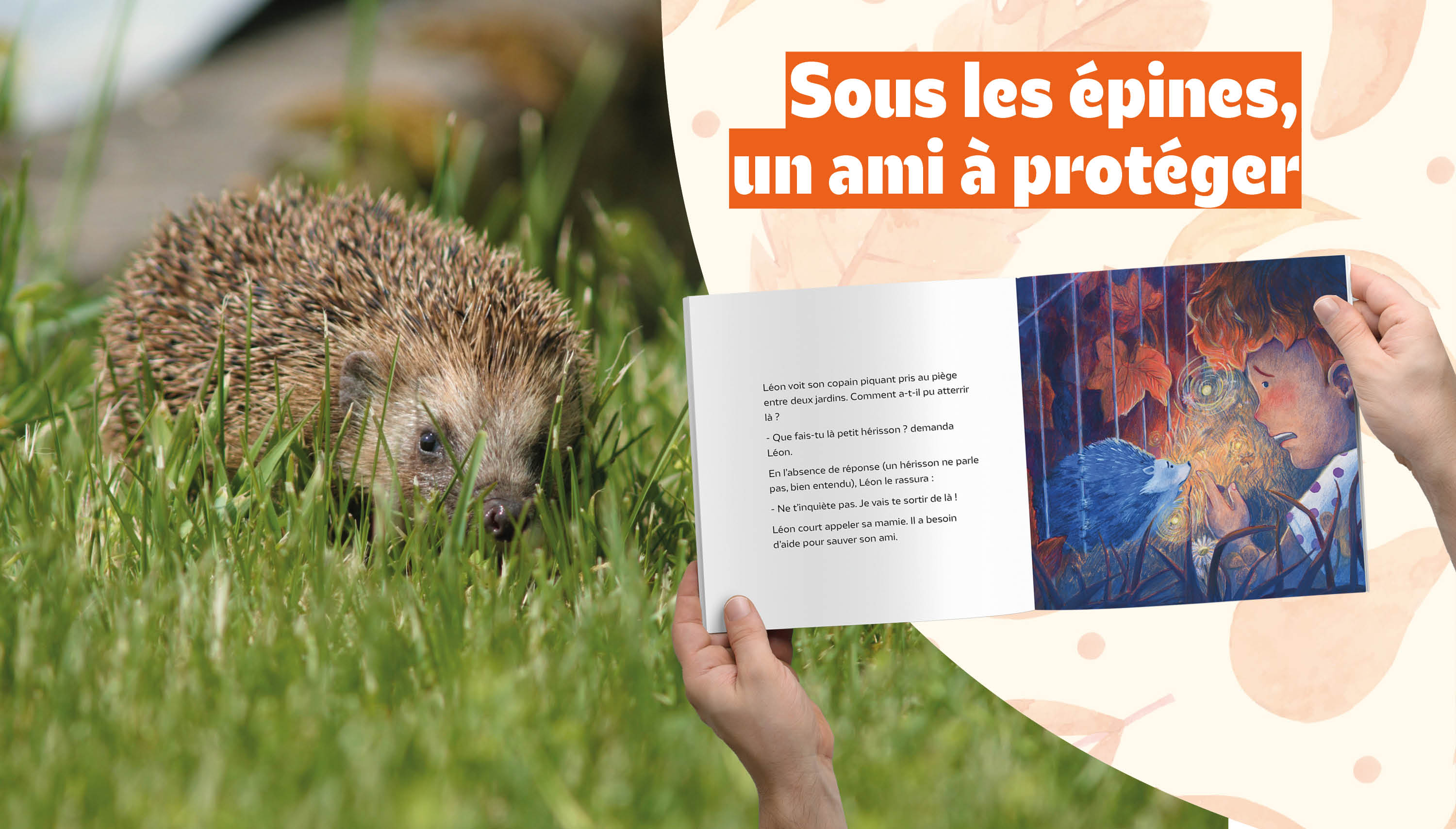 Sous les épines, un ami à protéger, une histoire du Centre de soins LPO Aquitaine