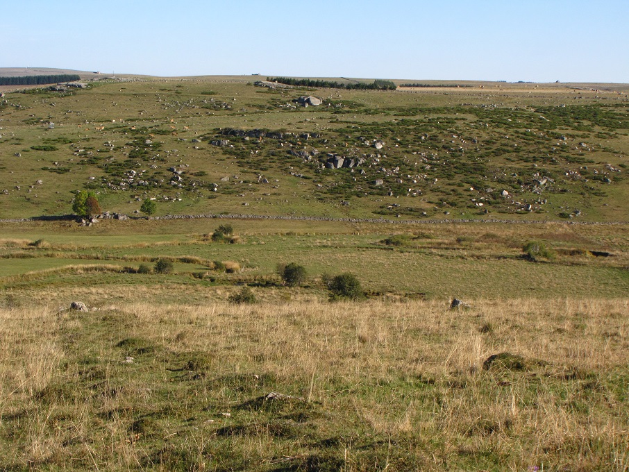 Plateau de l'Aubrac