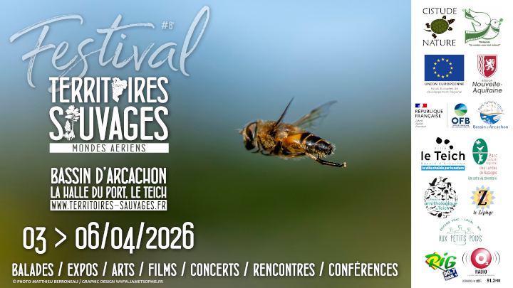 Festival Territoires Sauvages sur le Bassin d'Arcachon