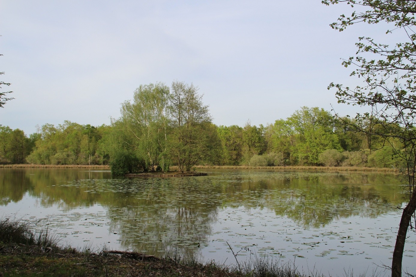 La richesse de nos étangs