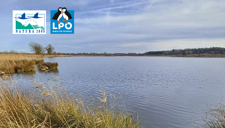 Mon étang, un lieu vivant : suivez le guide !