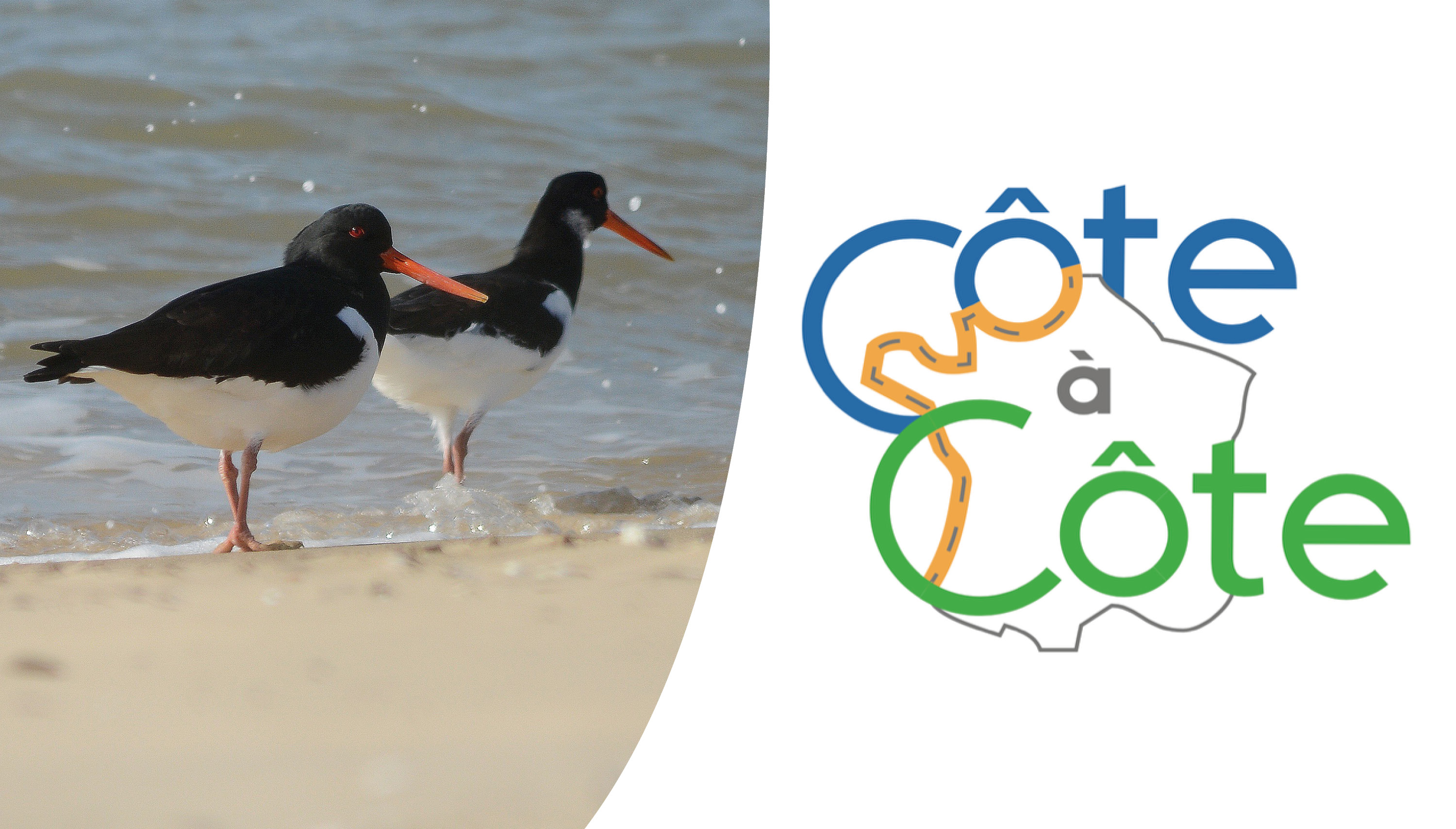 Projet Côte à côte : animations à Lège-Cap-Ferret !