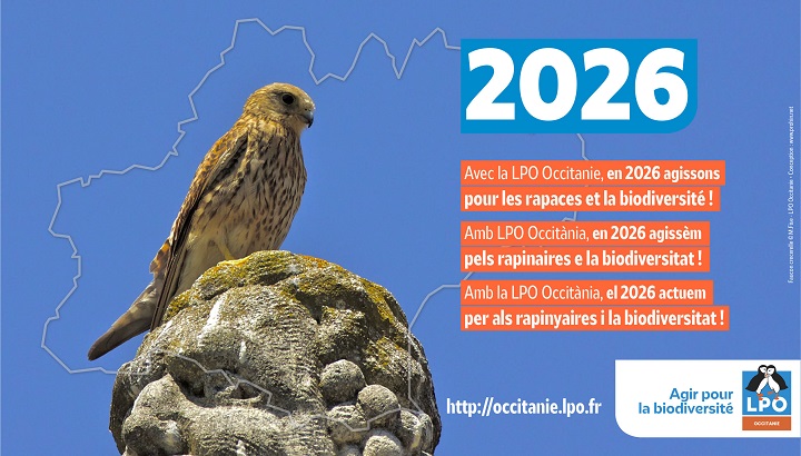 Les équipes de la LPO Occitanie vous souhaitent une bonne année 2026 !