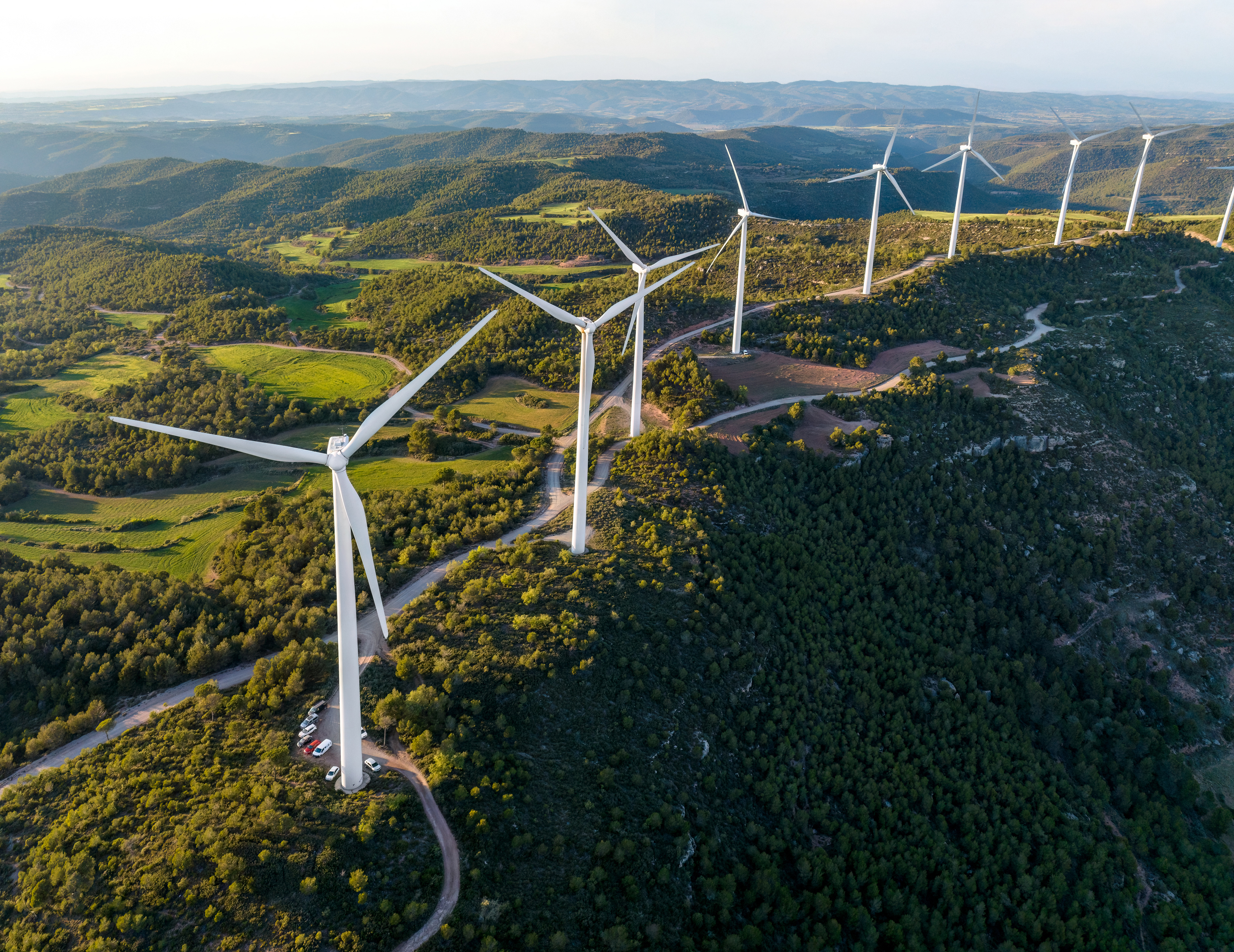 Deux parcs éoliens condamnés pour destruction d’oiseaux protégés dans l’Hérault