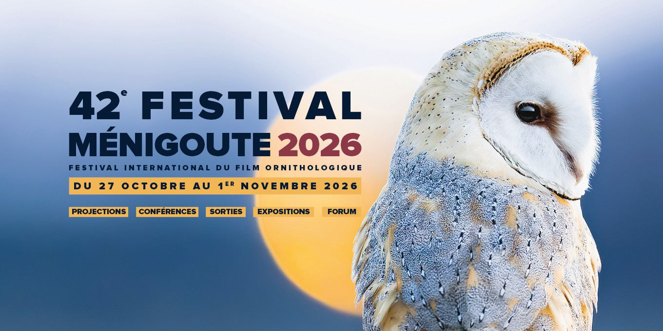 Bientôt le 42e Festival International du Film Ornithologique de Ménigoute (Deux-Sèvres)