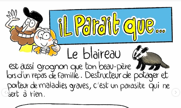 IL PARAIT que… le Blaireau