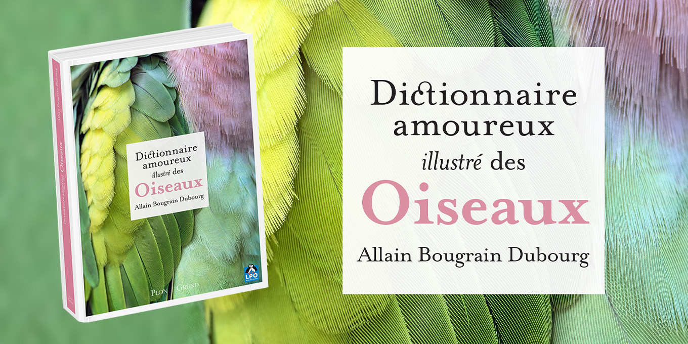 Dictionnaire amoureux illustré des oiseaux