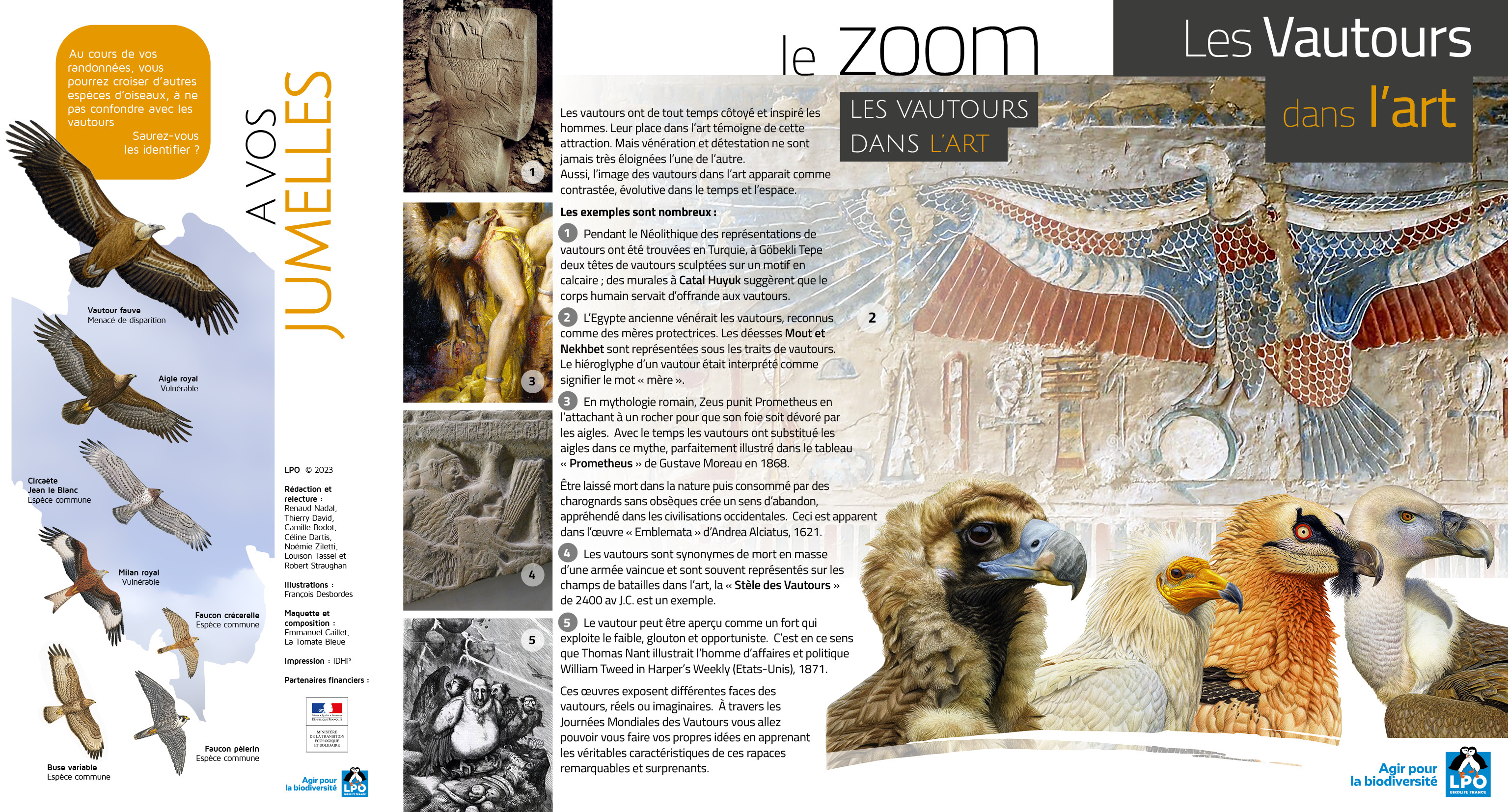 Les vautours dans l'art