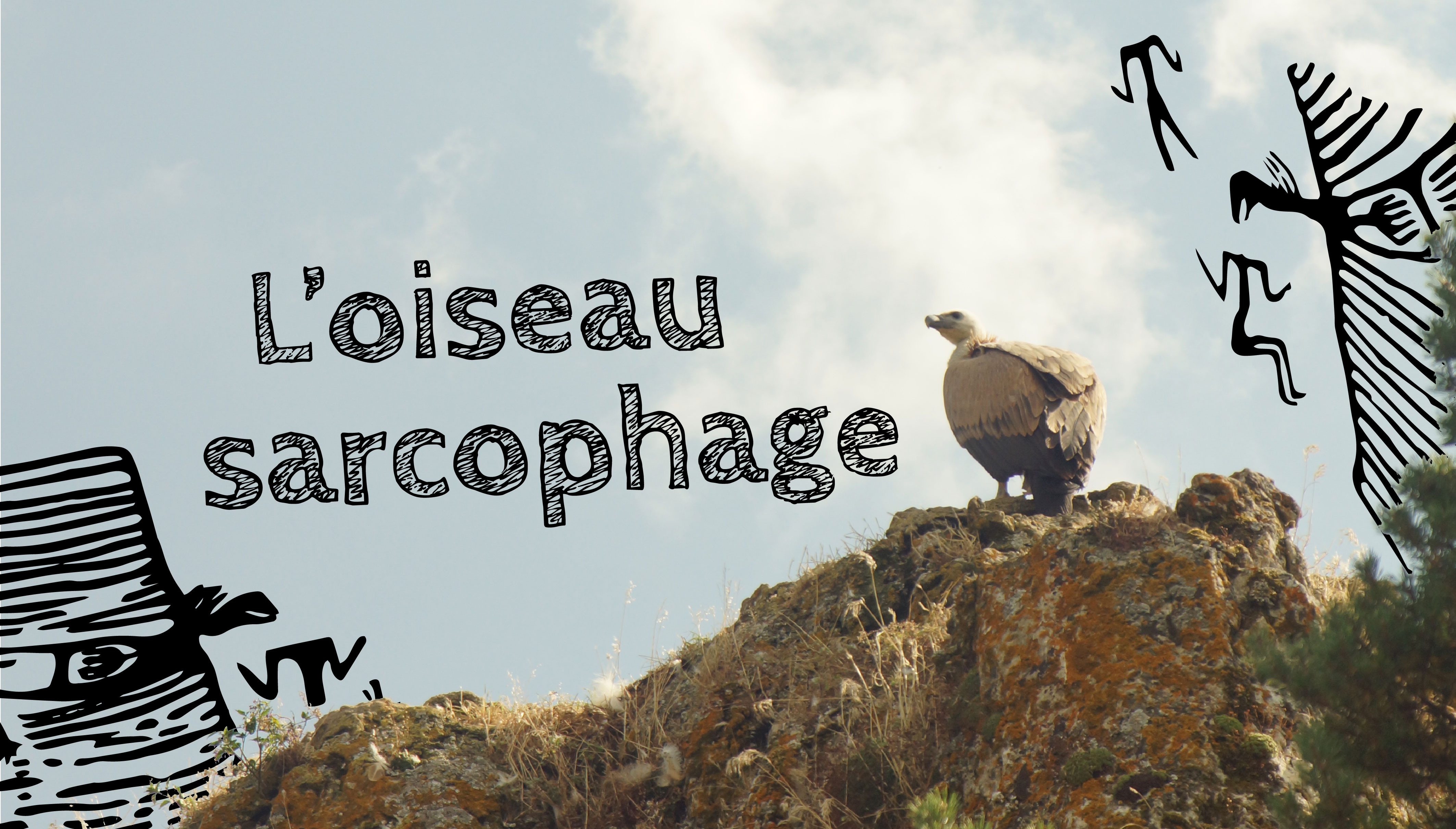 Conférence sur les vautours