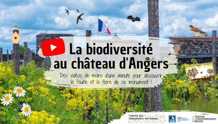 Un château qui agit pour la biodiversité