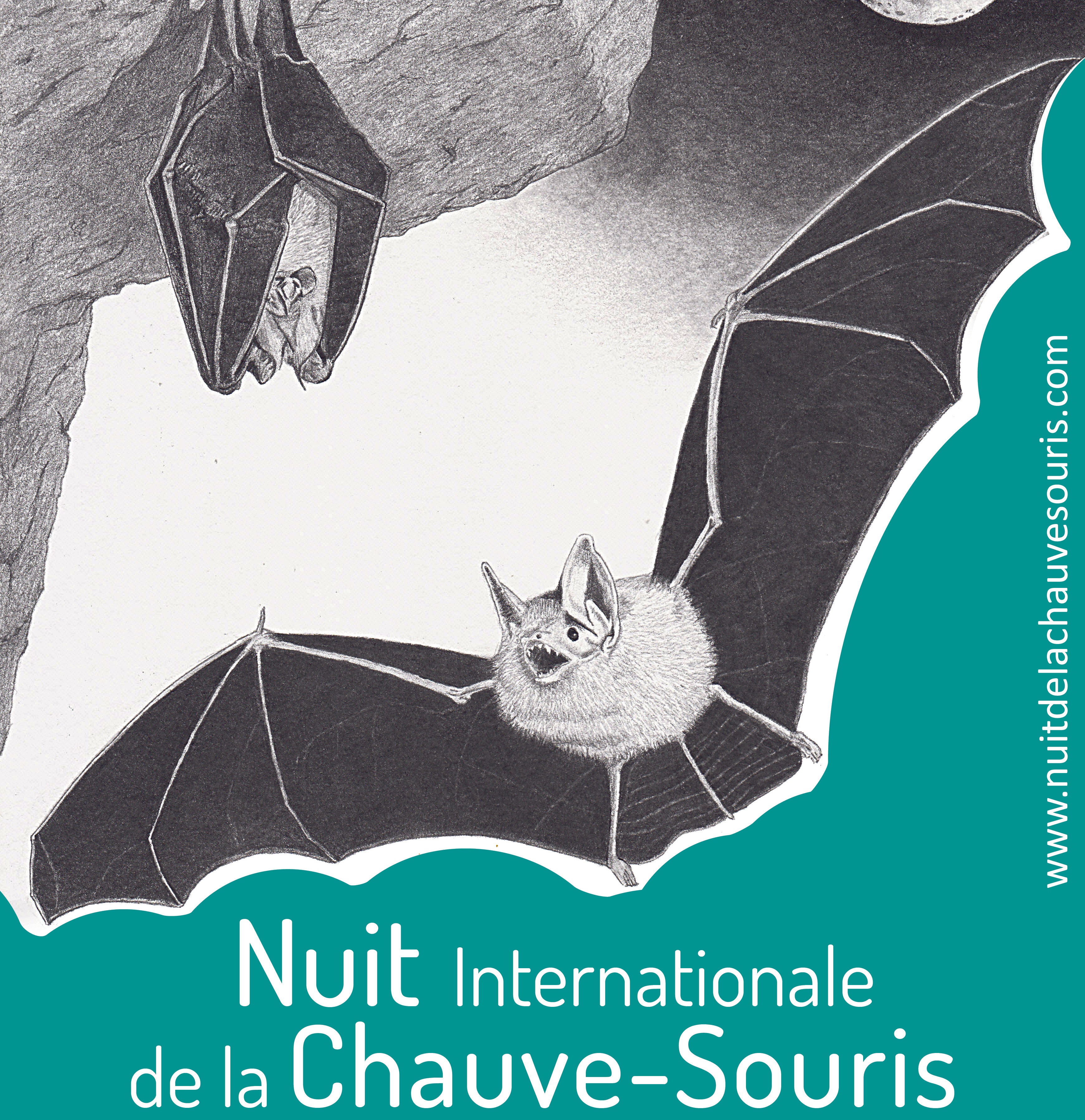 Des Etoiles et des Chauves-souris - Nuit Internationale à Le Wast
