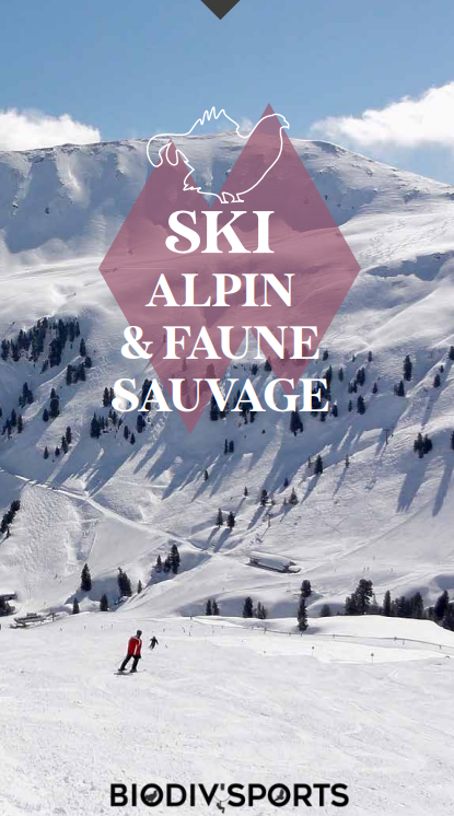 Ski alpin et faune sauvage