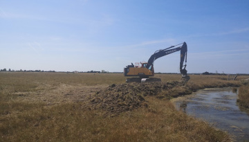 De l’eau pour les barges à queue noire