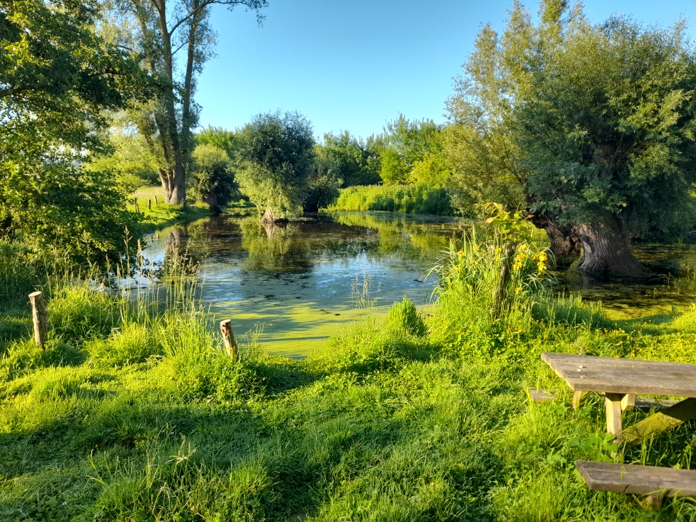 Fête de l'Art'bre à Abbecourt (60)