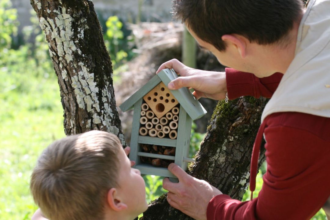 Un enfant et un ambassadeur LPO installe un gîte à insectes dans un arbre