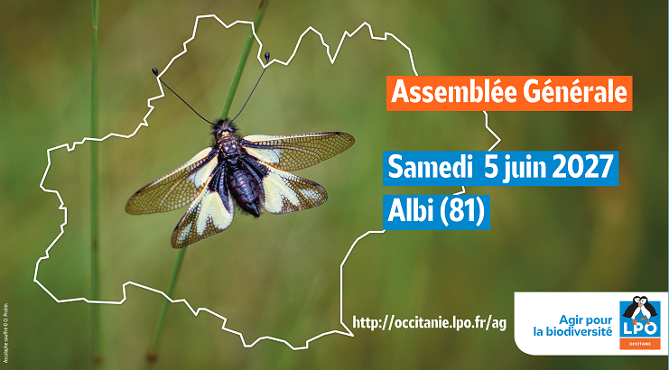Assemblée Générale régionale ordinaire annuelle LPO Occitanie