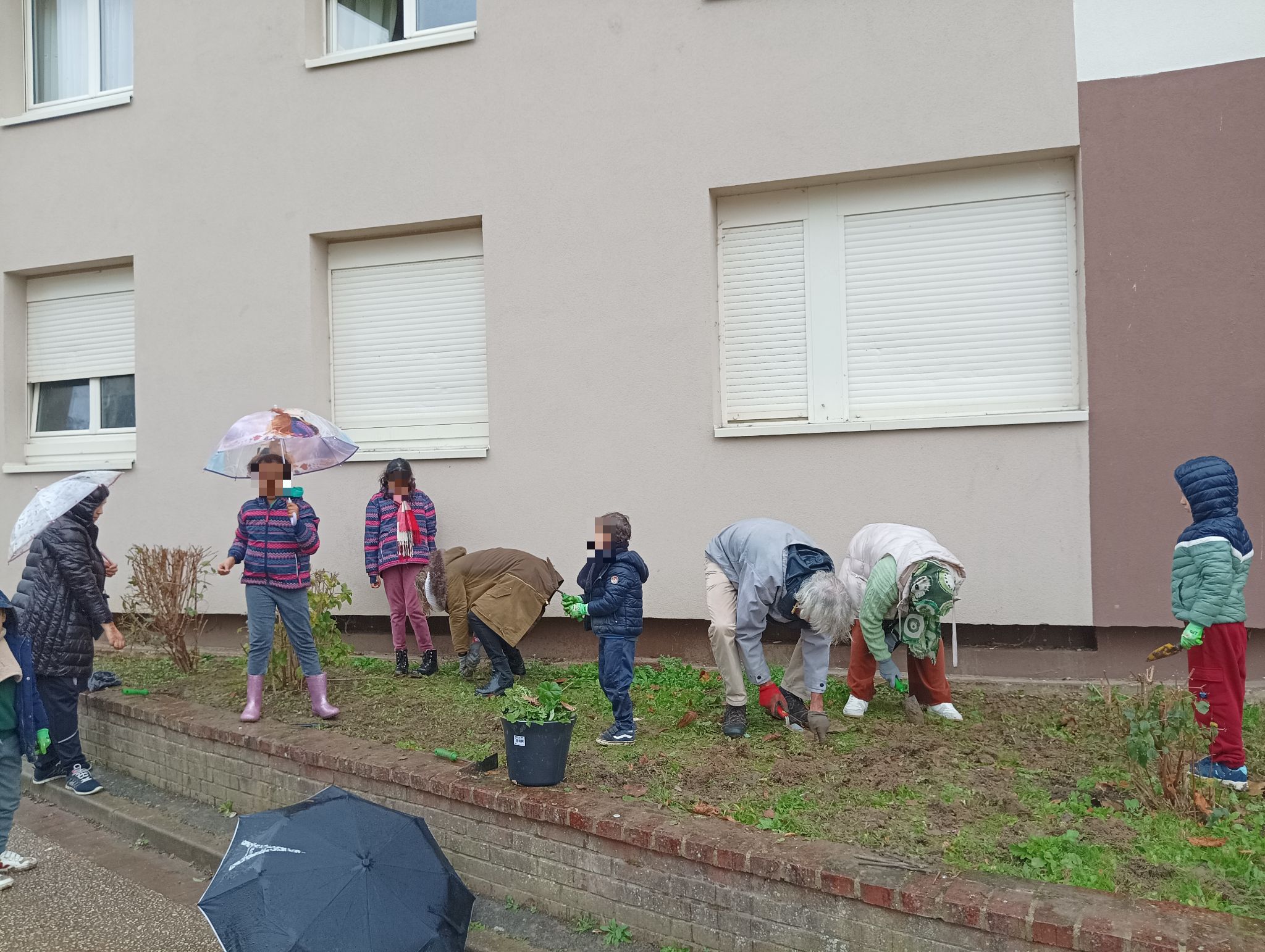 Plus de Nature dans mon Quartier - Préparons le printemps, plantons !