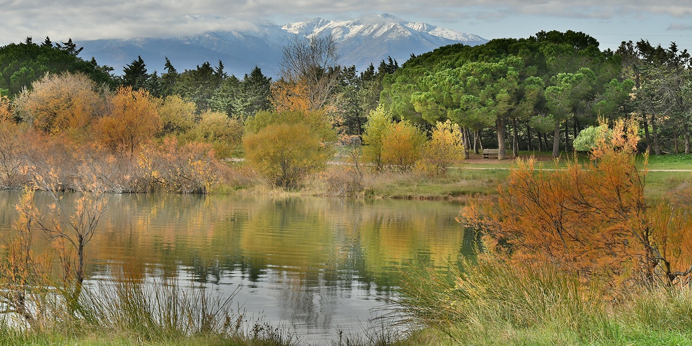 Couleurs d'automne au plan d'eau de Villeneuve de la Raho