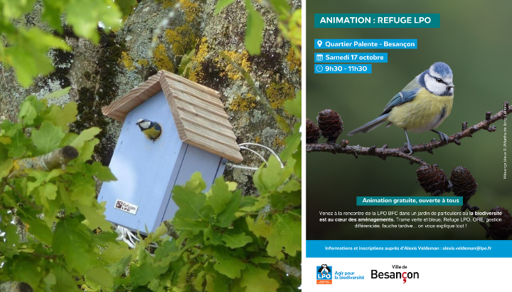 Animation : Refuge LPO