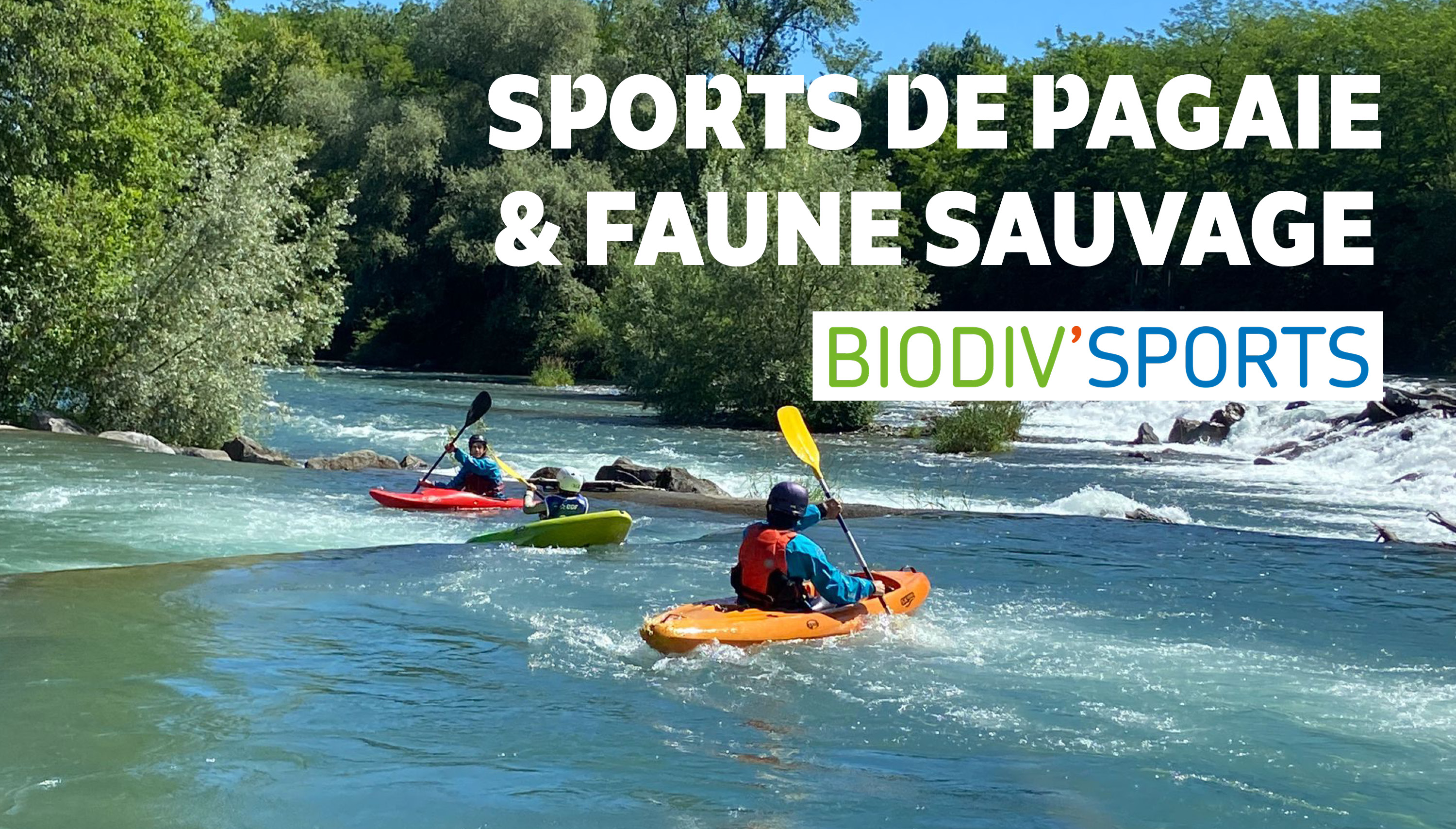Biodiv'Sports : Sports de pagaie & Faune sauvage
