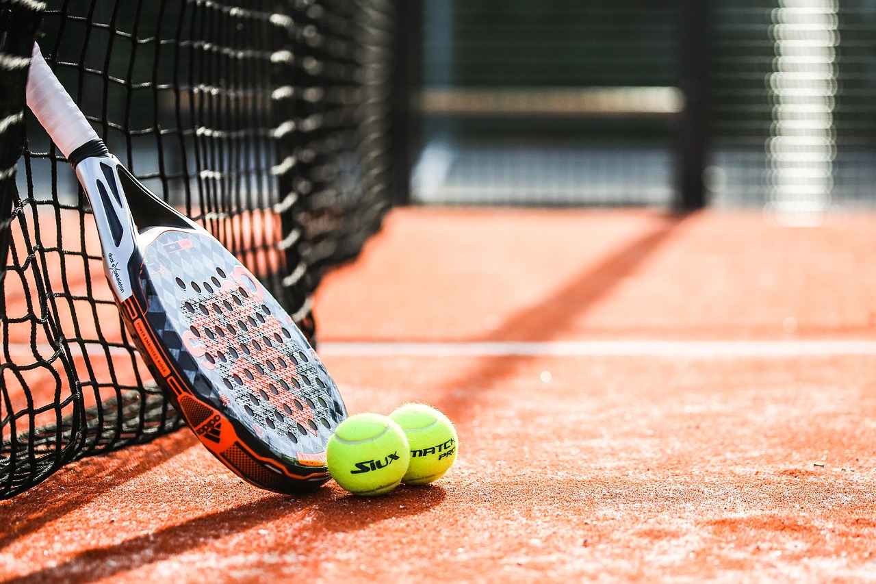 Padel et dérangement de la faune sauvage