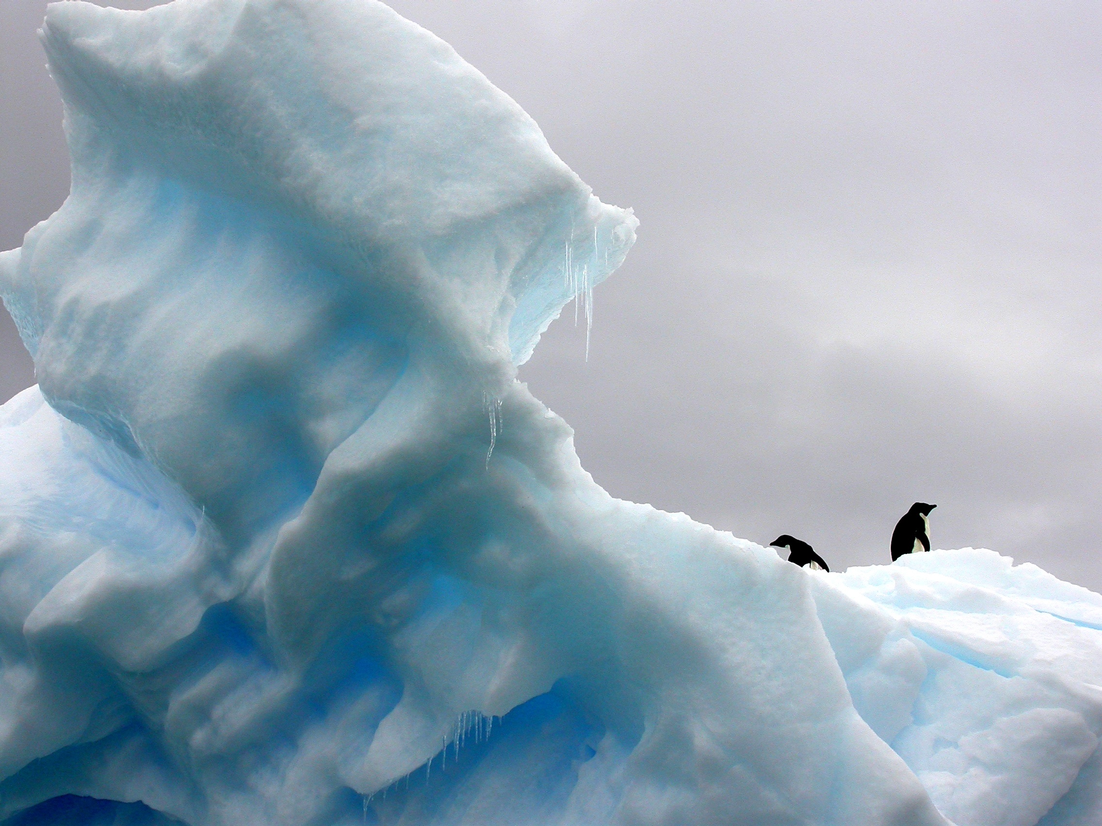 * NOUVEAU * Partage d'expérience scientifique polaire pour mieux cerner l'impact du climat