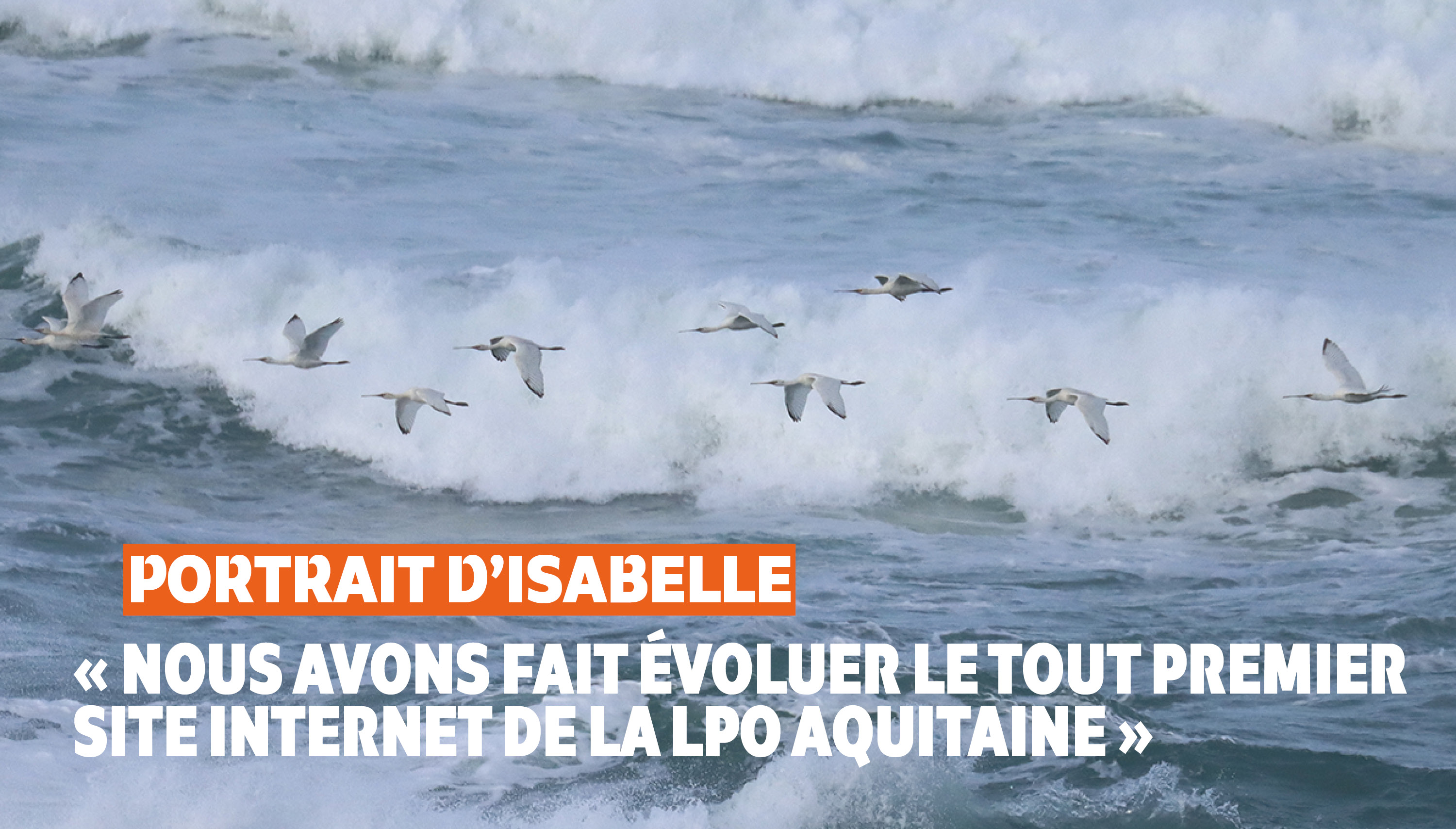 Derrière l’objectif : découvrez nos bénévoles photographes ! | Isabelle