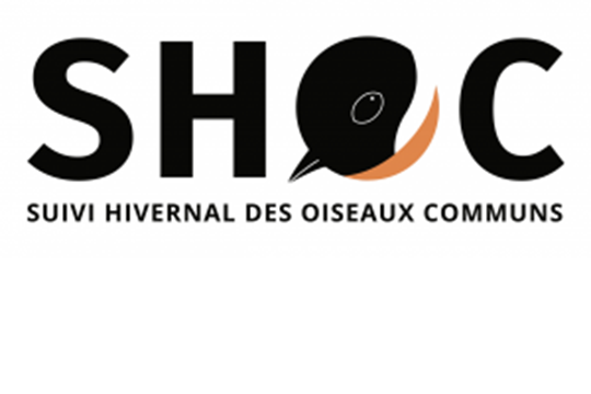 logo SHOC suivi hivernal des oiseaux communs