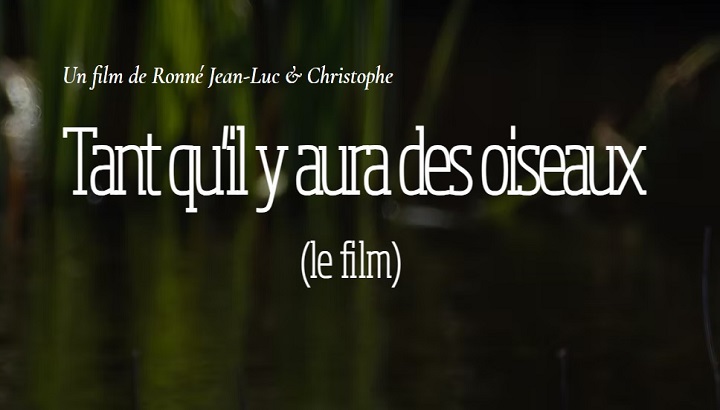 Projection du film "tant qu'il y aura des oiseaux"