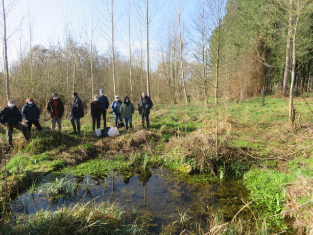 Groupe de personnes observant une mare