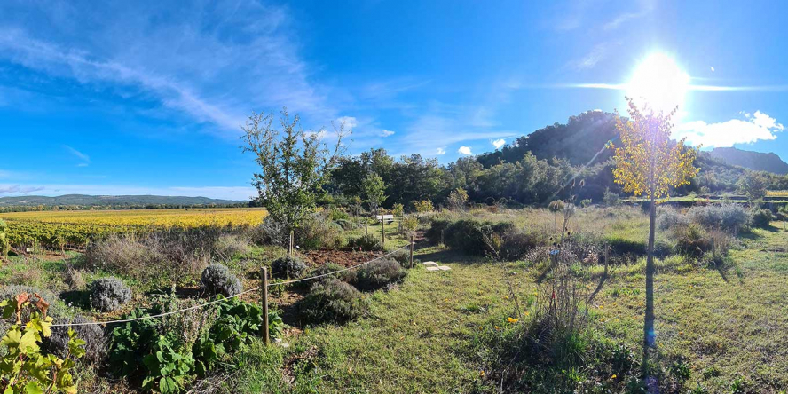 Jardin à papillons de l'Escarelle © Marion Fouchard