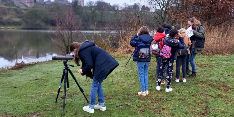 Observation des oiseaux d'eau avec jumelles et longues vues