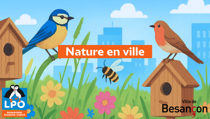 Animation : Nature en ville - LPO (Ligue pour la Protection des Oiseaux ...